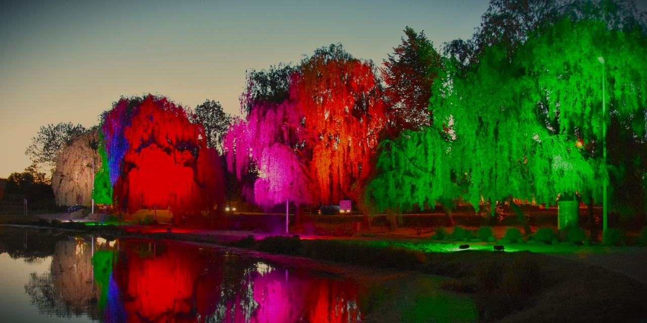 Koncert na molo. Adam Szabat